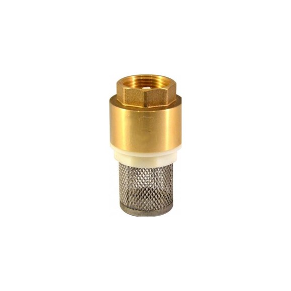 Обратный клапан СТМ с сеткой 2" CBCVF002 Обратный клапан СТМ с сеткой 2" CBCVF002