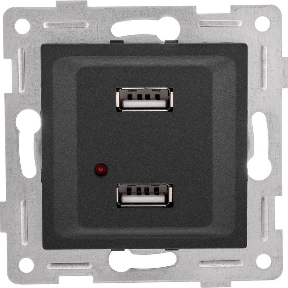 Механизм розетки GUSI ELECTRIC Ugra USB, двойной, СУ, графит С11USB2-010