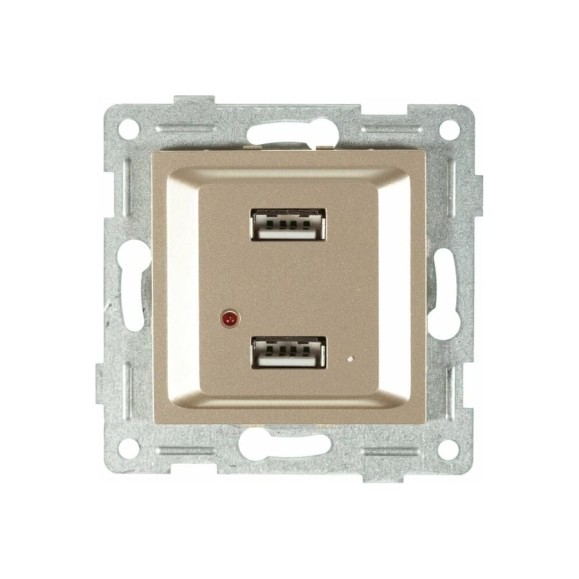 Механизм розетки GUSI ELECTRIC Ugra USB, двойной, СУ, шампань С11USB2-027
