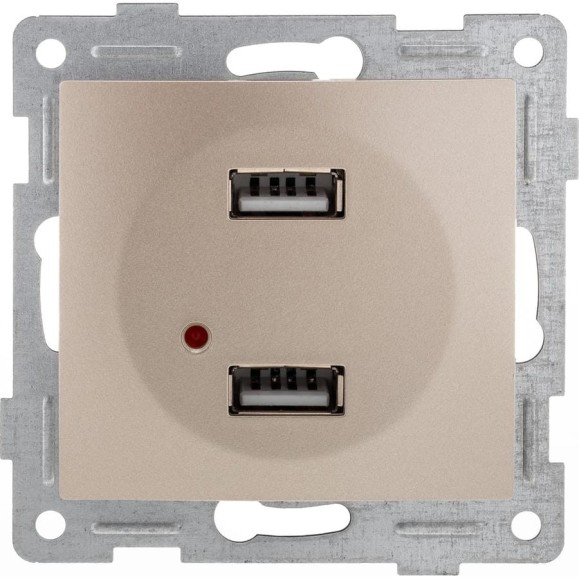 Механизм розетки GUSI ELECTRIC Bravo USB, двойной, СУ, шампань С10USB2-027 Механизм розетки GUSI ELECTRIC Bravo USB, двойной, СУ, шампань С10USB2-027