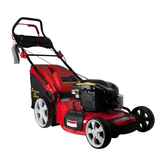 Бензиновая газонокосилка DDE WYZ20H8-BS60-B01