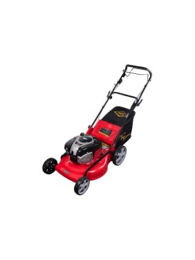 Бензиновая газонокосилка DDE WYZ22H-BS70-B