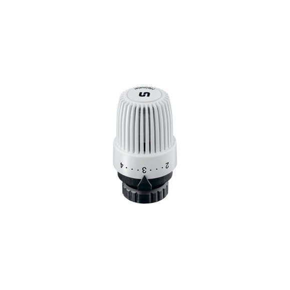 Термостатическая головка Uni-Fitt S, M30х1.5 169S0000