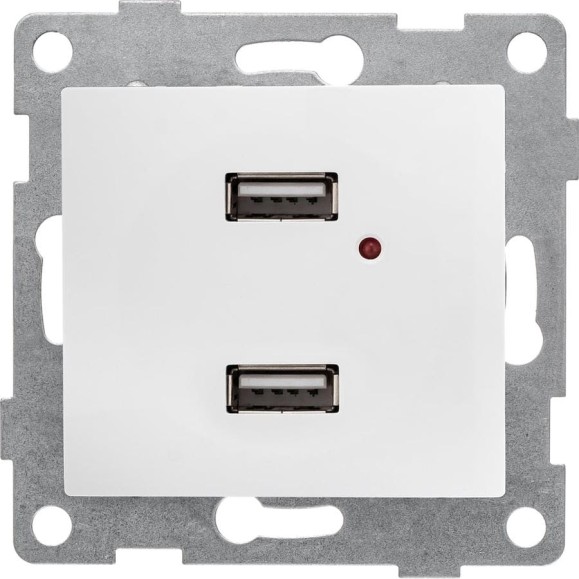 Механизм розетки GUSI ELECTRIC двойной, СУ, жемчуг С10USB2-028