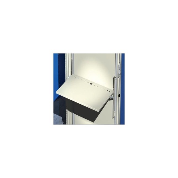 Дверная полка DKC, для шкафов CAE CQE шириной 800 мм R5RL800 97702 Дверная полка DKC, для шкафов CAE CQE шириной 800 мм R5RL800 97702