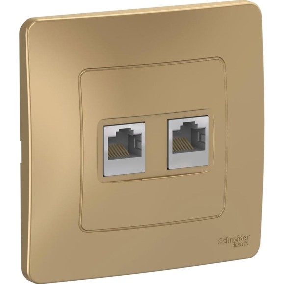 Розетка Systeme Electric Blanca внутр Титан 2-ая компьютерная RJ45 SE BLNIS045454