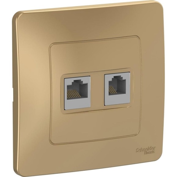 Розетка Systeme Electric Blanca внутр Титан 2-ая КОМП/ТЛФ, RJ45+RJ11 SE BLNIS045114