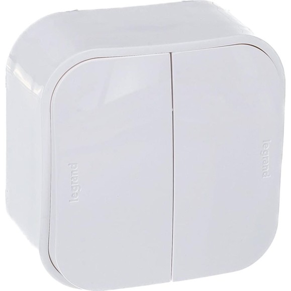 Выключатель Legrand двухклавишный Legrand Quteo IP20 10А 250В винтовые зажимы накладной монтаж белый 782202