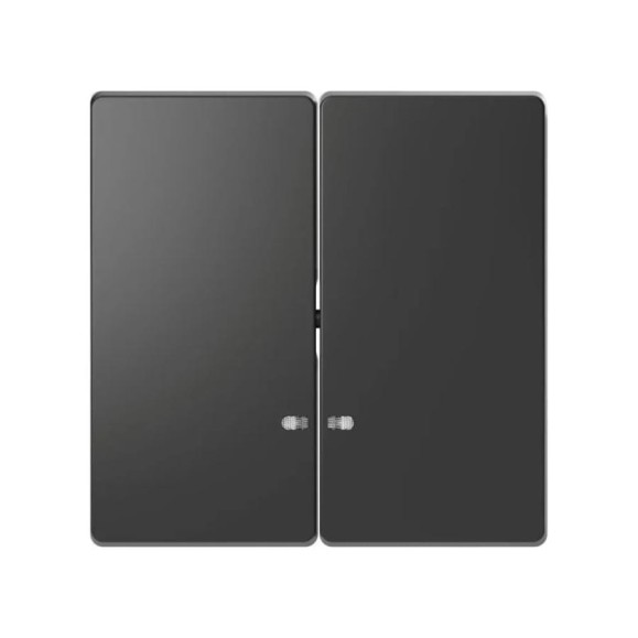 2-ая клавиша Systeme Electric Merten D-Life Антрацит с линзой для LED модуля SE MTN3420-6034