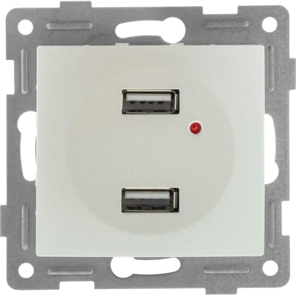 Механизм розетки GUSI ELECTRIC USB, двойной, СУ, жемчуг С11USB2-028