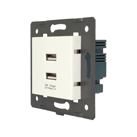 Розетка 2USB LIVOLO с блоком питания 2.1А 5В для рамки, цвет белый (механизм) AM-2USB-11