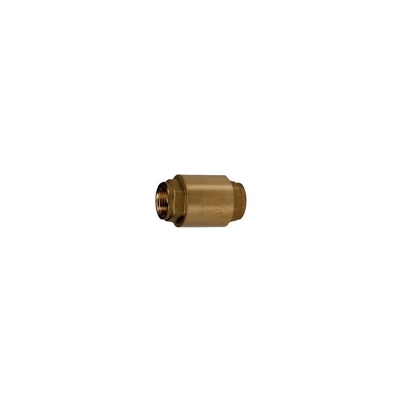 Обратный клапан дисковый Giacomini муфтовый 2 1/2" R60Y039