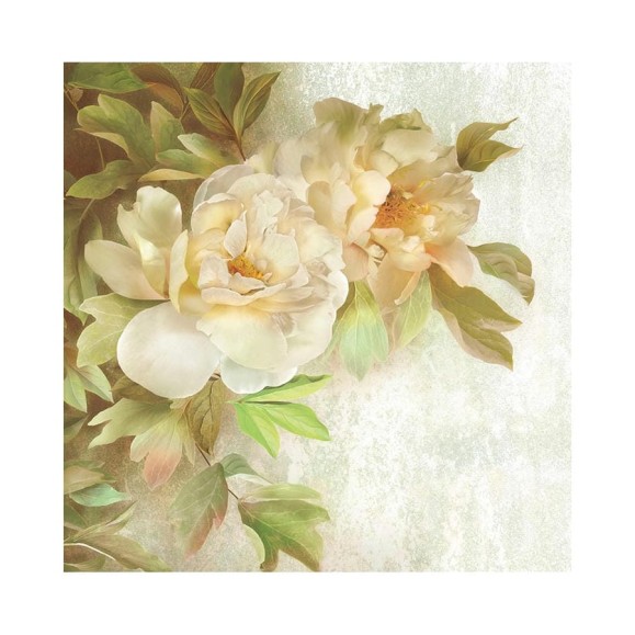 Фотообои ООО Ортограф Wild rose sepia 2.99x3 м OF_31645