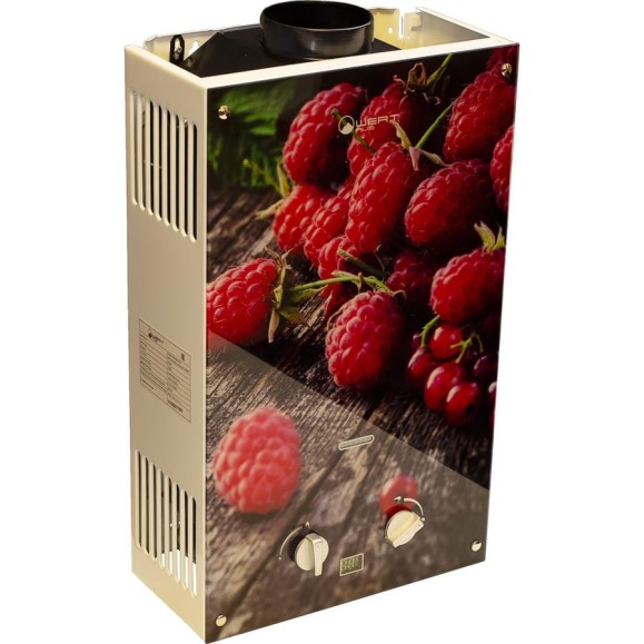 Газовый проточный водонагреватель WERTRUS 10EG BERRY W1407 Газовый проточный водонагреватель WERTRUS 10EG BERRY W1407