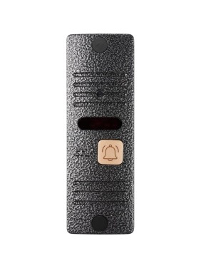 Вызывная панель CTV -D10 Plus цвет серебро 4100155 Вызывная панель CTV -D10 Plus цвет серебро 4100155