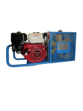 Компрессор высокого давления FROSP КВД 100/300Д Honda GX160 791