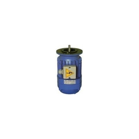 Двигатель передвижения для электрических талей TOR CD1 2,0 т 119222