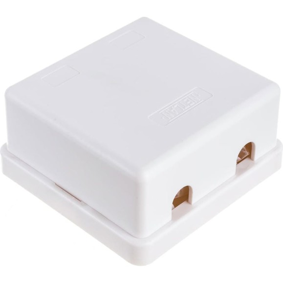Настенная розетка NETLAN 2 порта, категория 5e, RJ45/8P8C, неэкранированная, белая, EC-UWO-2-UD2-WT-10