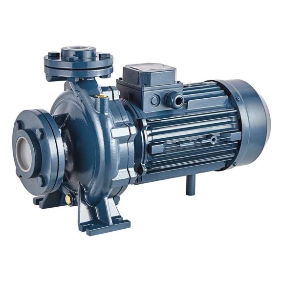 Моноблочный фланцевый насосный агрегат Purity PSTC 80-160/185 100580157