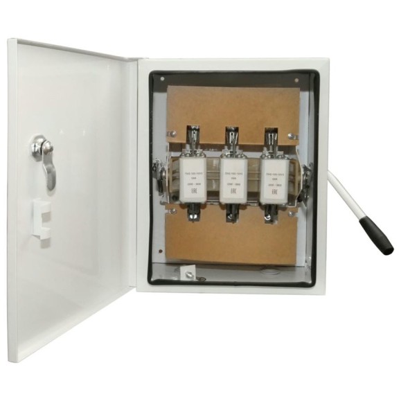 Ящик с рубильником TDM ELECTRIC ЯБПВУ-100А IP54 (с ПН-2) Народный SQ1603-0005