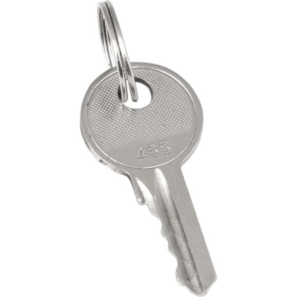 Ключ для замка EKF арт. 18-16/38-ip31 20 штук proxima key-2