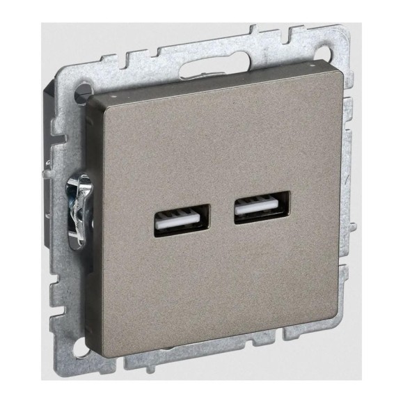 Розетка USB IEK Brite a+a 5в 3,1а рю10-1-брш шампань BR-U21-D31-K37